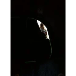 Coleman Valdes Deluxe 4xl Air Blackout Tent 13 Coleman Valdes Deluxe 4xl Air Blackout Tent -Camping Gear Shop 2000037563 16